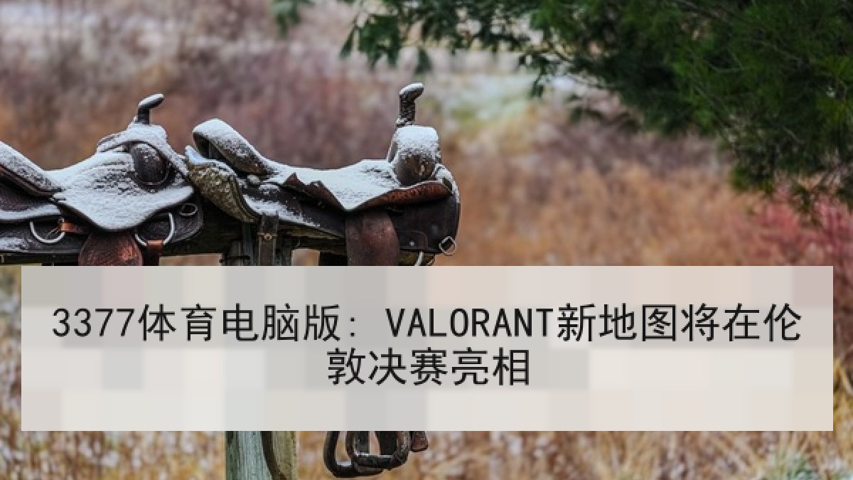 3377体育电脑版: VALORANT新地图将在伦敦决赛亮相