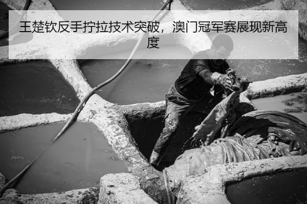 王楚钦反手拧拉技术突破，澳门冠军赛展现新高度