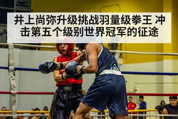 boxing match action