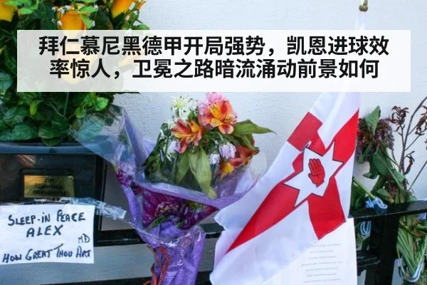 拜仁慕尼黑德甲开局强势，凯恩进球效率惊人，卫冕之路暗流涌动前景如何